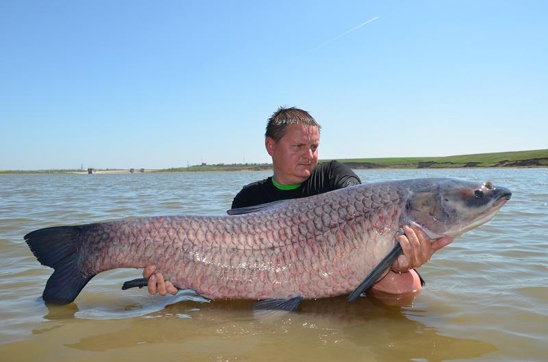 crapi de sarulesti - 13934786506987816577712021443438n.jpg